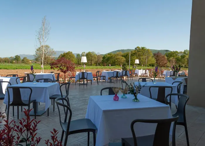 Tenute Masullo Pedale